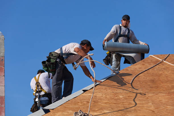 Best Roofing Contractor Near Me  in Lomira, WI